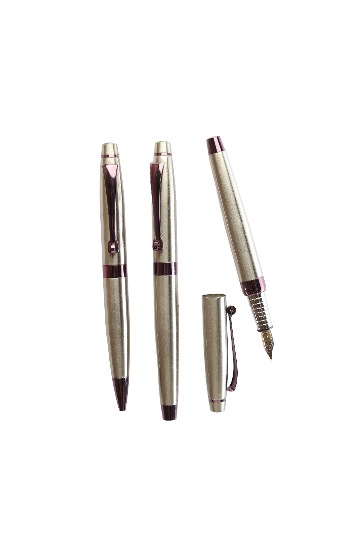 Model No - 002 Elegant Silver Purple Tone Pens